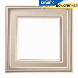 Рамка 1-постова Jung Eco Profi DECO EPD481CH, шампань