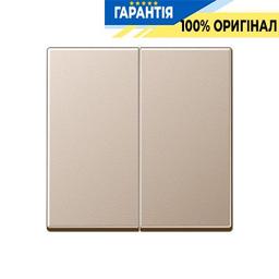 Клавіша 2-клавішний вимикача Jung Eco Profi EP495CH, шампань