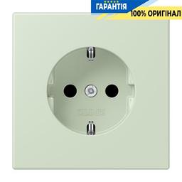Розетка з заземленням 250V 16A із захисними шторками, гвинтовий затиск JUNG LC1521KI218 vert anglais pâle