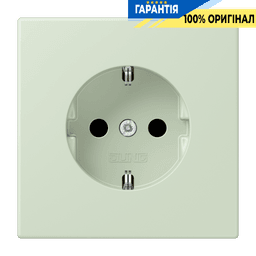 Розетка з заземленням 250V 16A гвинтовий затиск JUNG LC1521218 vert anglais pâle