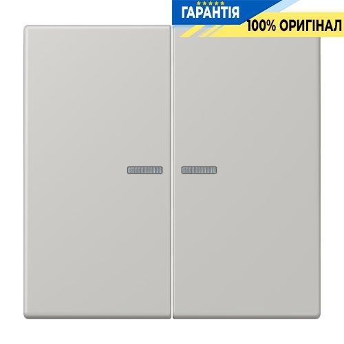 Клавіша 2-а з підсвіткою JUNG LC995KO5205 gris clair 31 (32013)