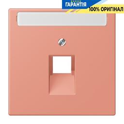 Накладка для комп’ютерної розетки JUNG UAE з полем для напису LC969-1NAUA233 l’ocre rouge moyen (32111)