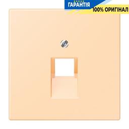 Накладка для комп’ютерної розетки UAE JUNG LC969-1UA223 колір ocre, серія 32060