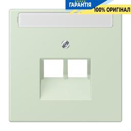 Накладка для 2-ї комп’ютерної розетки UAE з полем для напису JUNG LC969-2NAUA218, колір vert anglais pâle