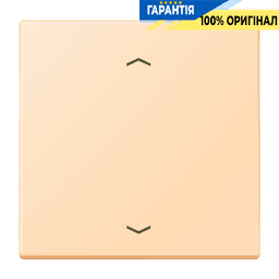 Клавіша зі стрілками JUNG LC990P223 ocre для керування, оригінал, артикул 32060
