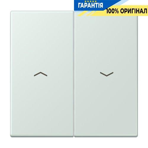Клавіша 2-а зі стрілками JUNG LC995P215 céruléen pâle (32034)