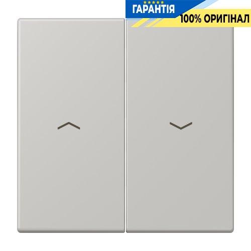 Клавіша 2-а зі стрілками JUNG LC995P205 gris clair 31 (32013) для керування світлом та пристроями