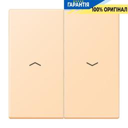 Клавіша 2-а зі стрілками JUNG LC995P223 ocre (32060) для керування світлом та технікою