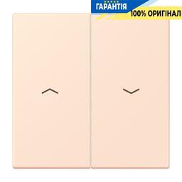 Клавіша 2-а зі стрілками JUNG LC995P226 помаранчевий pâle (32082)
