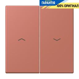 Клавіша 2-а зі стрілками JUNG LC995P236 terre sienne brique, оригінальна серія 32121
