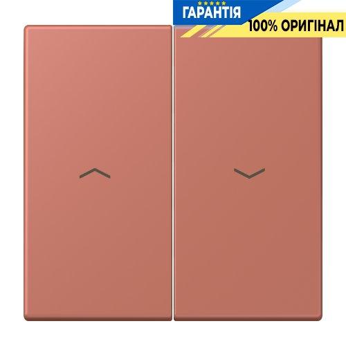 Клавіша 2-а зі стрілками JUNG LC995P236 terre sienne brique, оригінальна серія 32121