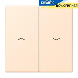 Клавіша 2-а зі стрілками JUNG LC995P238 terre sienne pâle, серія 32123, колір світло-коричневий