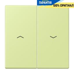 Клавіша 2-а зі стрілками JUNG LC995P222 vert jaune clair (32053) для керування, світло-жовта