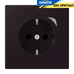 Розумна розетка з заземленням 250V/16А JUNG HOME BTLC1521S248, noir d'ivoire (4320E)