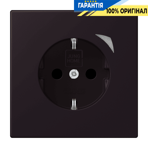 Розумна розетка з заземленням 250V/16А JUNG HOME BTLC1521S248, noir d'ivoire (4320E)