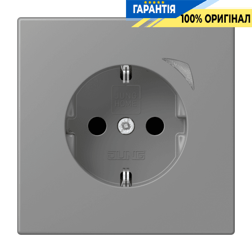 Розумна розетка з заземленням 250V 16А JUNG HOME Energy BTLC1521SE203, gris 31 (32011)