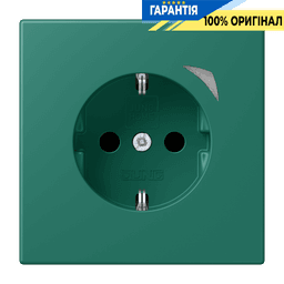 Розумна розетка з заземленням 250V/16A JUNG HOME Energy BTLC1521SE216, vert anglais