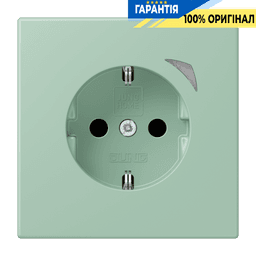 Розумна розетка з заземленням 250V/16А JUNG HOME Energy BTLC1521SE217, vert anglais clair