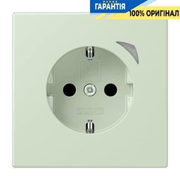 Розумна розетка з заземленням 250V/16А JUNG HOME Energy BTLC1521SE218, vert anglais pâle
