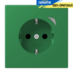 Розумна розетка з заземленням 250V/16A JUNG HOME Energy BTLC1521SE219, vert foncé