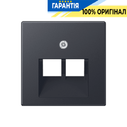 Панель розетки 2-я TF/PC JUNG A569-2BFPLUAANM антрацит матовий