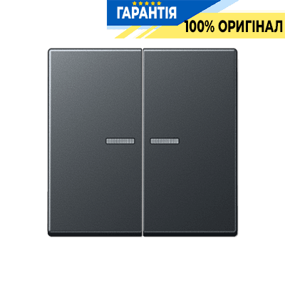 Клавіша 2-а з підсвіткою JUNG A595BFKO5ANM антрацит матовий для електроустановок