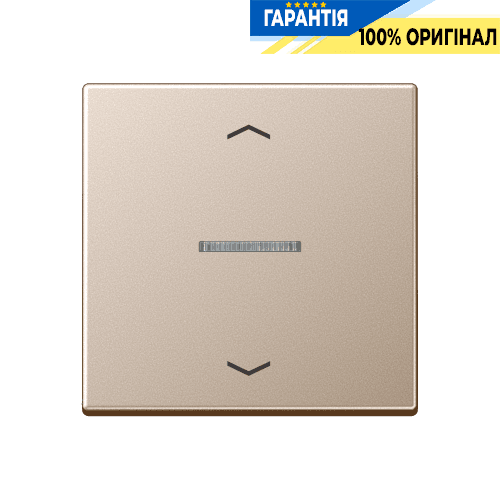 Клавіша з символом «стрілки» JUNG HOME, 1 група, BTA17101PCH, колір шампань