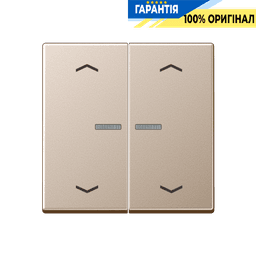 Клавіша з символом «стрілки» JUNG HOME, 2 групи, шампань, BTA17102PCH