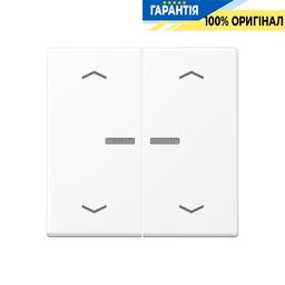 Клавіша з символом «стрілки» JUNG HOME, 2 групи, білий матовий, BTA17102PWWM