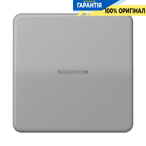 Клавіша JUNG HOME 1 група BTCD17101GR сірий оригінал