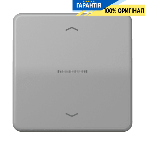 Клавіша з символом «стрілки» JUNG HOME 1 група BTCD17101PGR сірий