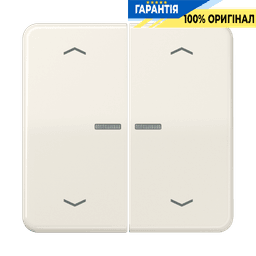 Клавіша з символом «стрілки» JUNG HOME, 2 групи, BTCD17102P, слонова кістка