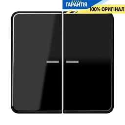 Клавіша JUNG HOME 2 групи BTCD17102SW чорний для керування освітленням