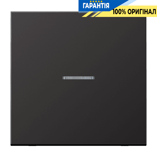 Клавіша JUNG HOME 1 група BTAL17101D dark для керування освітленням