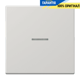 Клавіша JUNG HOME 1 група BTLS17101LG світло-сіра