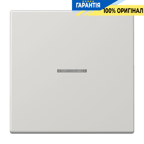 Клавіша JUNG HOME 1 група BTLS17101LG світло-сіра