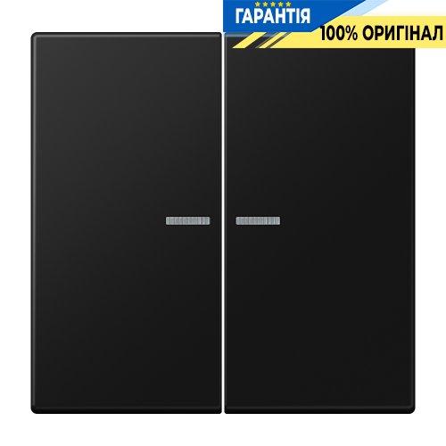 Клавіша JUNG HOME 2 групи BTLS17102SWM чорний матовий