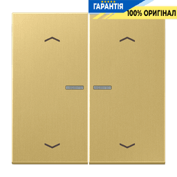 Клавіша з символом «стрілки» JUNG HOME, 2 групи, BTME17102PC, латунь Classic