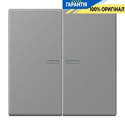 Клавіша JUNG HOME 2 групи BTLC17102203 gris 31 (32011)