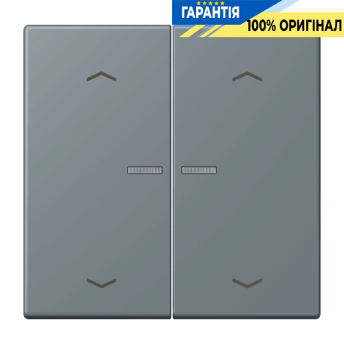 Клавіша з символом «стрілки» JUNG HOME, 2 групи, BTLC17102P251