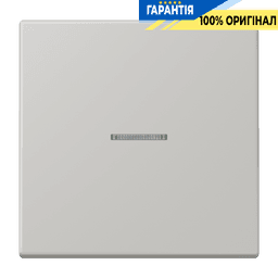 Клавіша JUNG HOME 1 група BTLC17101205 gris clair 31 (32013)