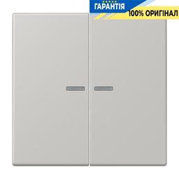 Клавіша JUNG HOME, 2 групи, BTLC17102205, gris clair 31 (32013)