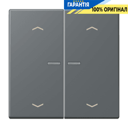Клавіша з символом «стрілки» JUNG HOME, 2 групи, модель BTLC17102P202