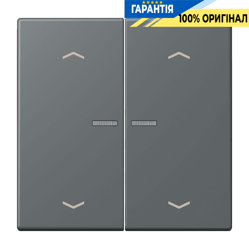 Клавіша з символом «стрілки» JUNG HOME, 2 групи, модель BTLC17102P202