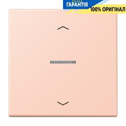 Клавіша з символом «стрілки» JUNG HOME, 1 група, BTLC17101P234, колір l’ocre rouge clair (32112)