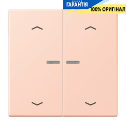 Клавіша з символом «стрілки» JUNG HOME, 2 групи, BTLC17102P234
