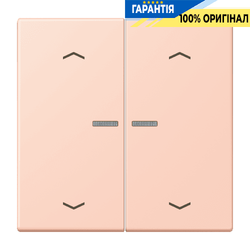 Клавіша з символом «стрілки» JUNG HOME, 2 групи, BTLC17102P234
