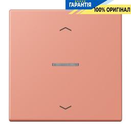 Клавіша з символом «стрілки» JUNG HOME, 1 група, BTLC17101P233, колір l’ocre rouge moyen (32111)