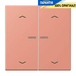 Клавіша з символом «стрілки» JUNG HOME, 2 групи, BTLC17102P233