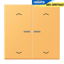 Клавіша з символом «стрілки» JUNG HOME, 2 групи, BTLC17102P254